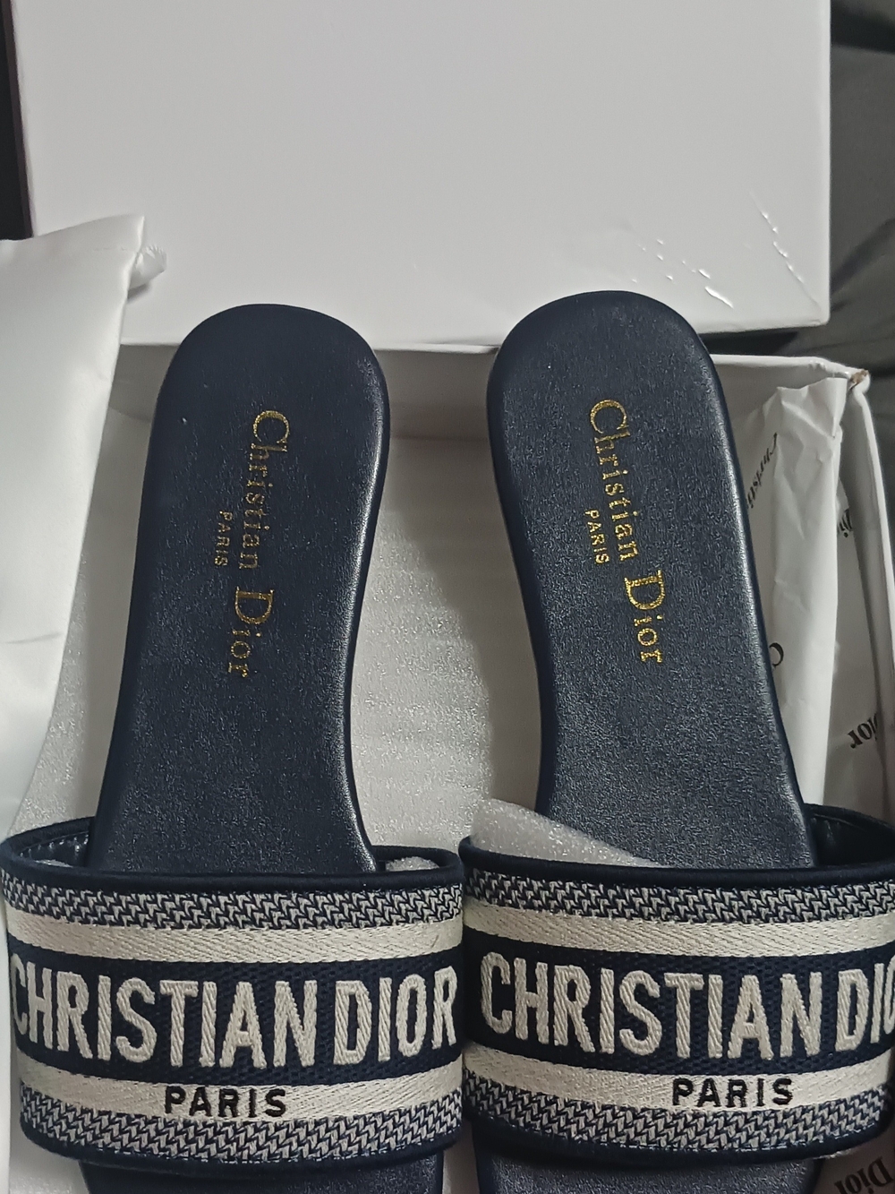 Dior Navy and White Christian Dior Paris Slide Sandals